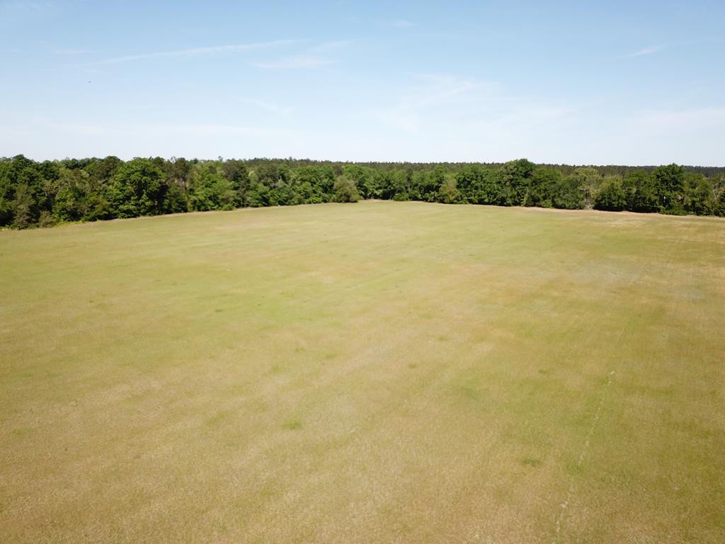 Tbd Tbd Dixie Road South Wagener, SC 29164 - Photo 16 of 25
