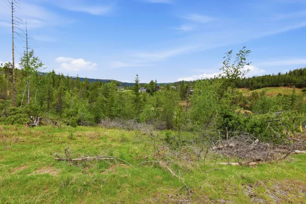 $105,000 | 120 Blazing Saddle Court, Smelterville, ID 83868