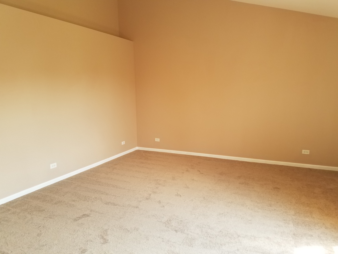 2661 Red Hawk Ridge Drive Aurora, IL 60503 - Photo 14 of 25
