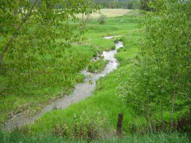 2124 C Swiss Valley Road Addy, WA 99101 - Photo 2 of 9