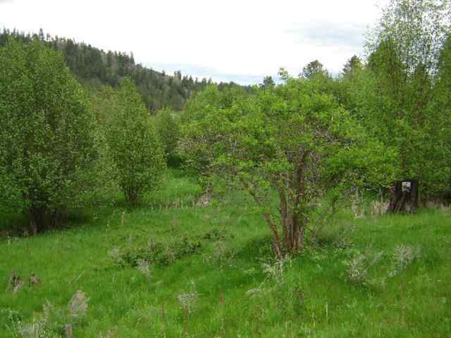 2124 C Swiss Valley Road Addy, WA 99101 - Photo 8 of 9