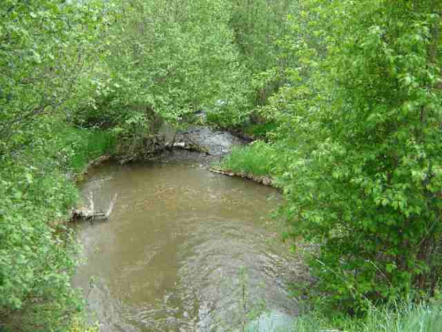 2124 C Swiss Valley Road Addy, WA 99101 - Photo 9 of 9