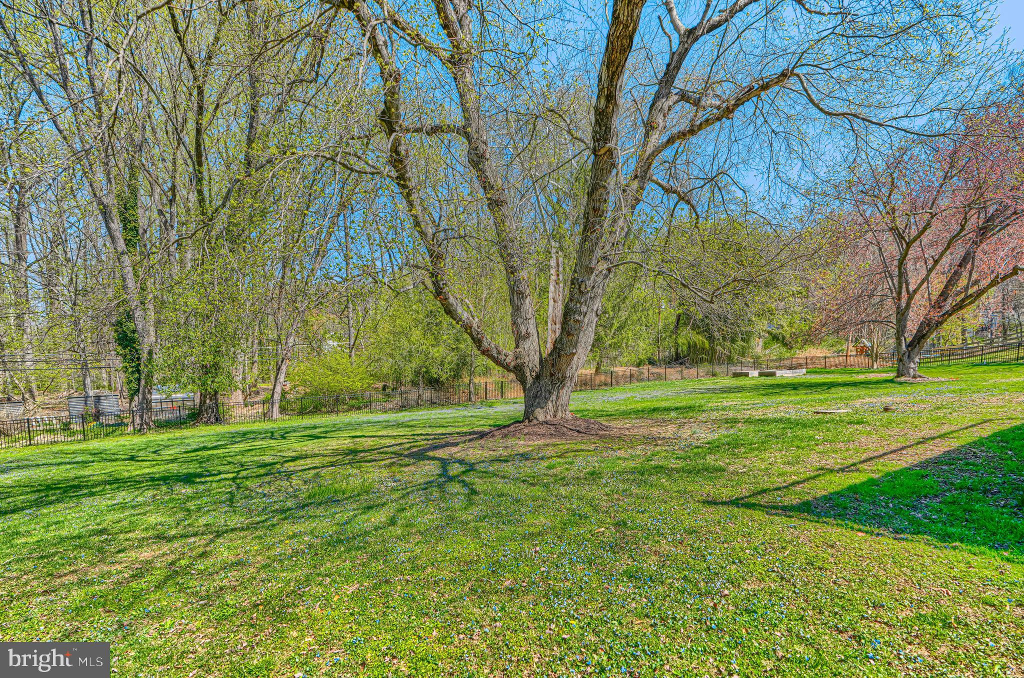 802 Stone Barn Road Towson, MD 21286 - Photo 99 of 104 a big yard with lots of green space and trees in the back