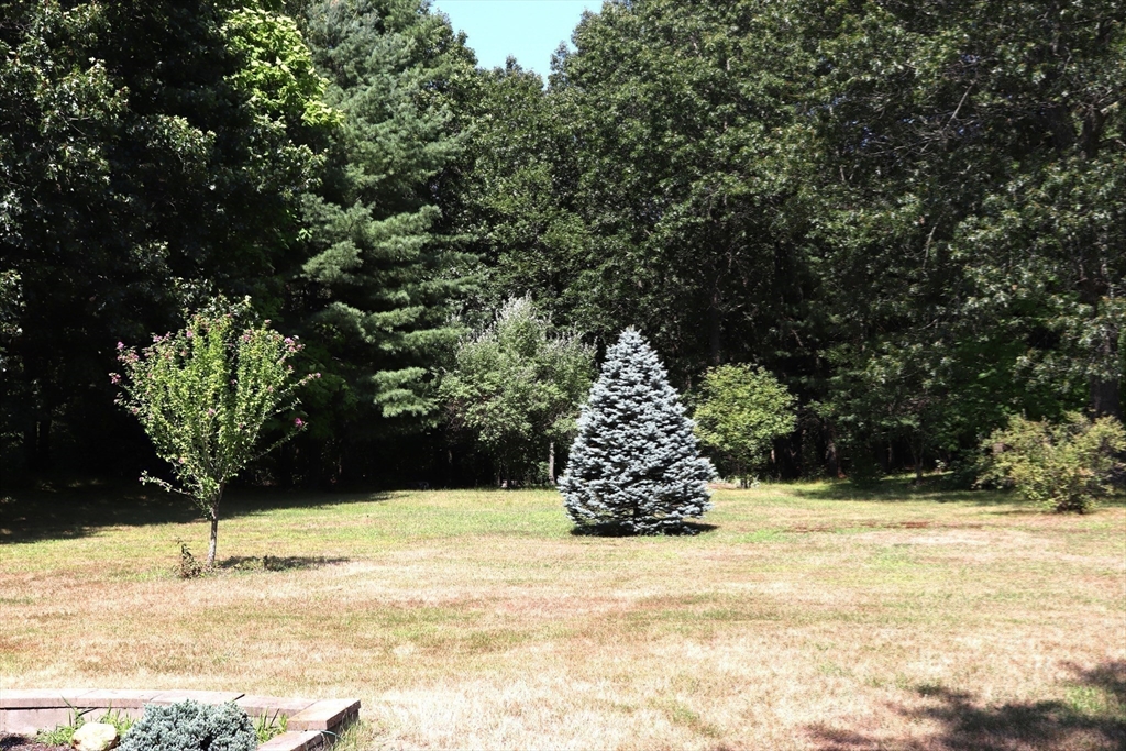 75 Garrison Road Chelmsford, MA 01824 - Photo 26 of 28