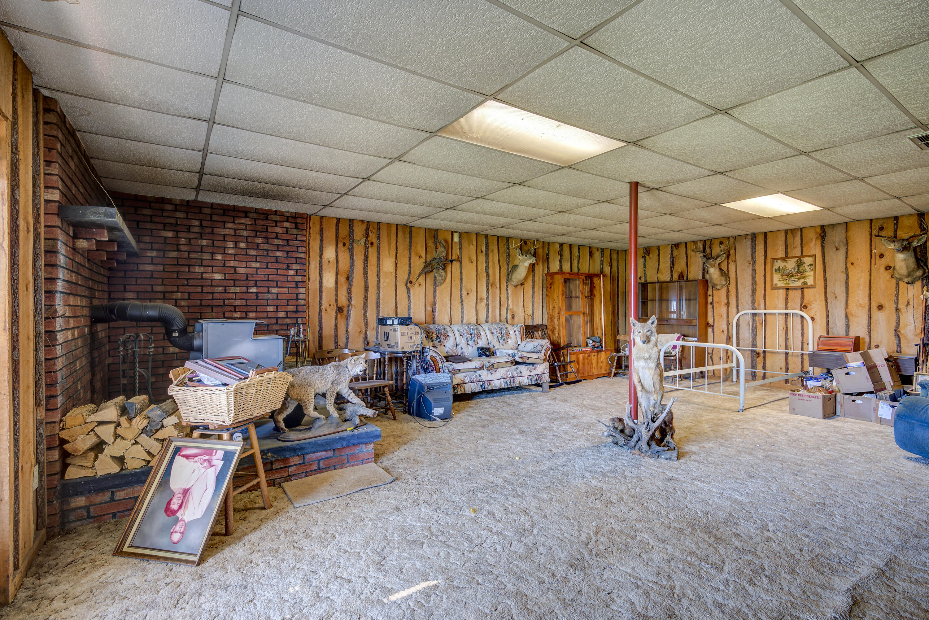 530 Old Jonesboro Road Chuckey, TN 37641 - Photo 39 of 51 JonesboroLAND-20