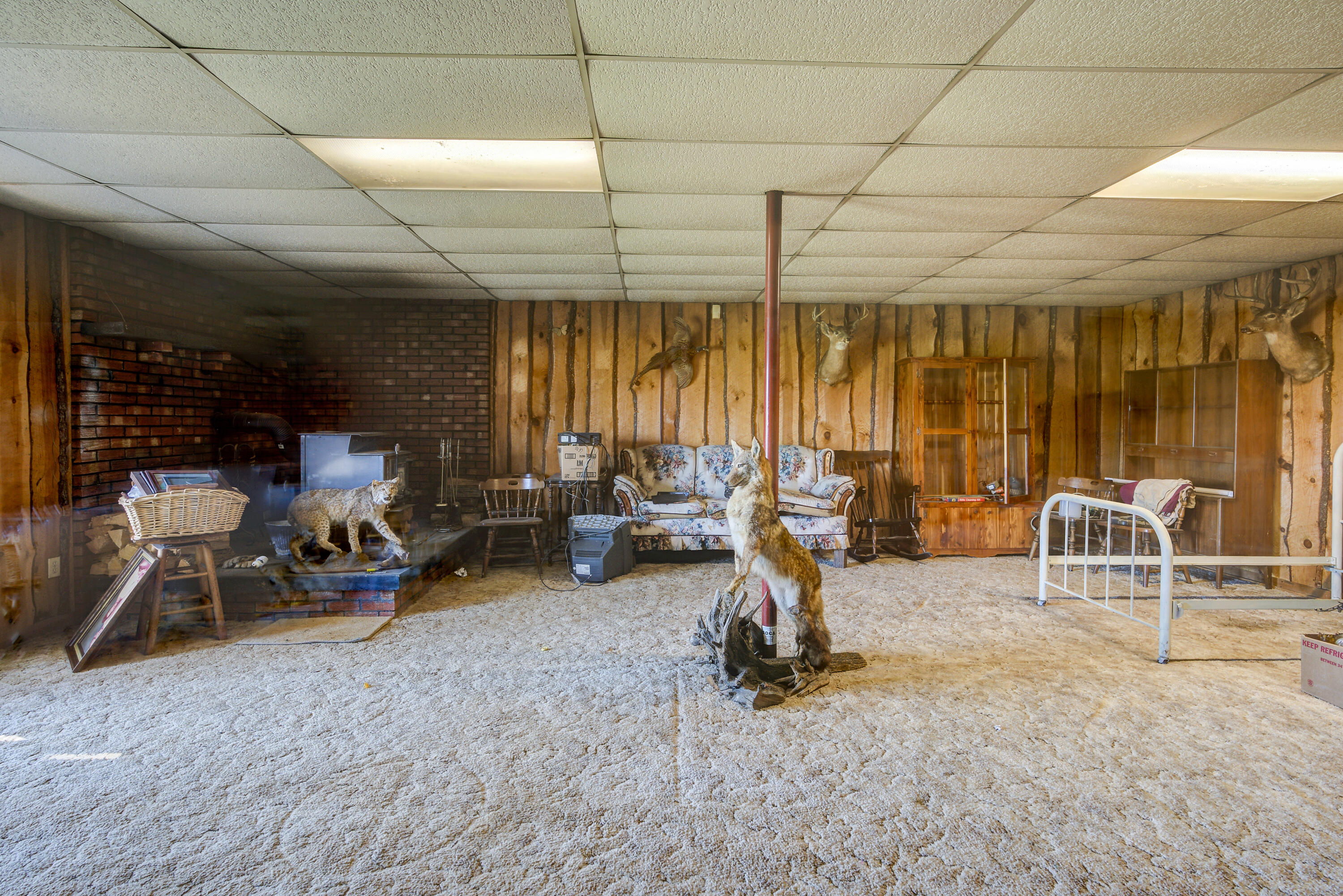 530 Old Jonesboro Road Chuckey, TN 37641 - Photo 41 of 51 JonesboroLAND-22