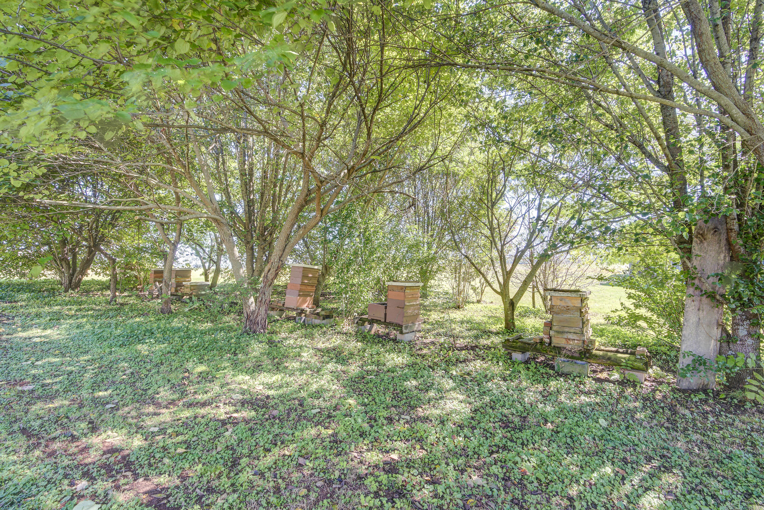 530 Old Jonesboro Road Chuckey, TN 37641 - Photo 47 of 51 JonesboroLAND-33