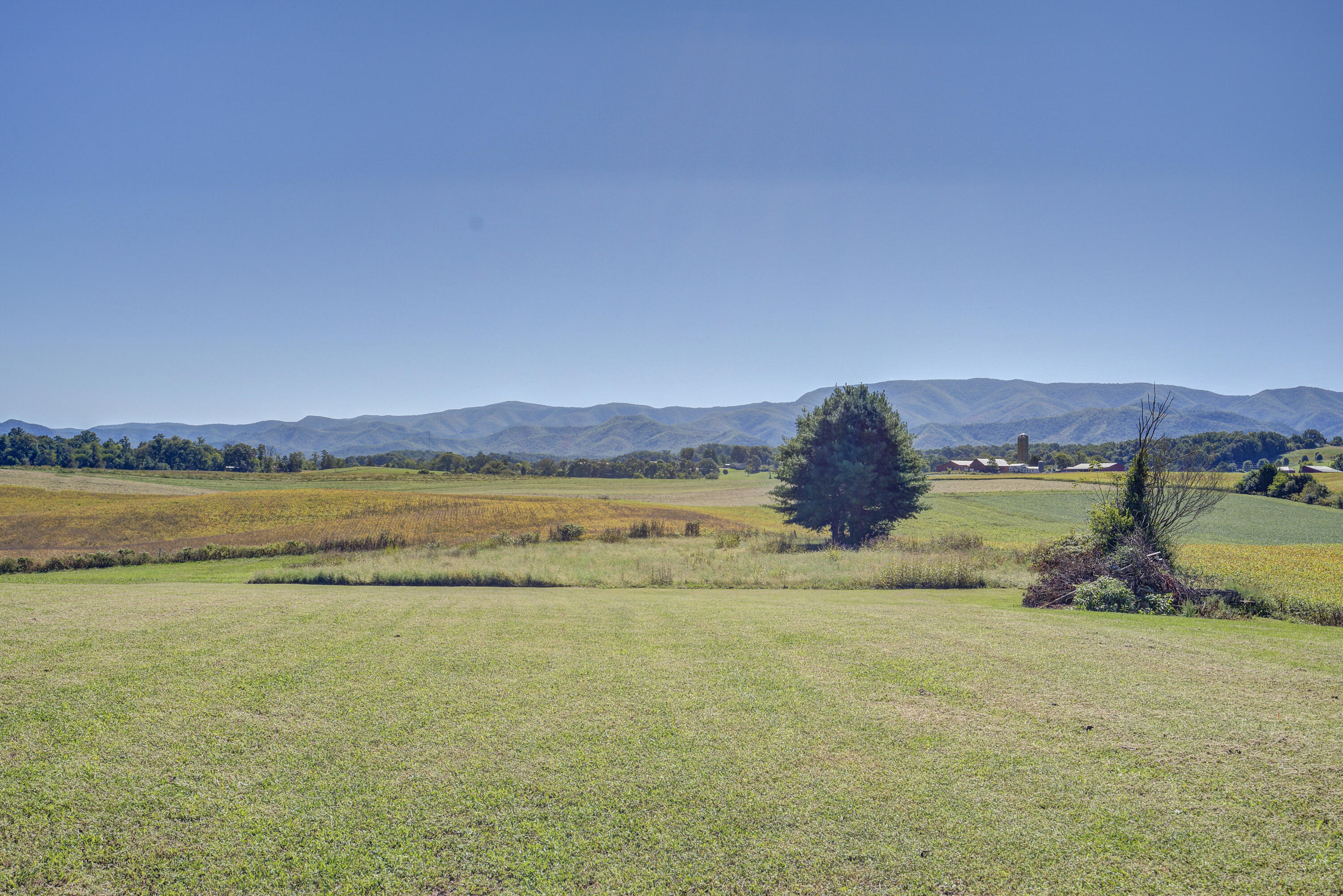 530 Old Jonesboro Road Chuckey, TN 37641 - Photo 48 of 51 JonesboroLAND-34