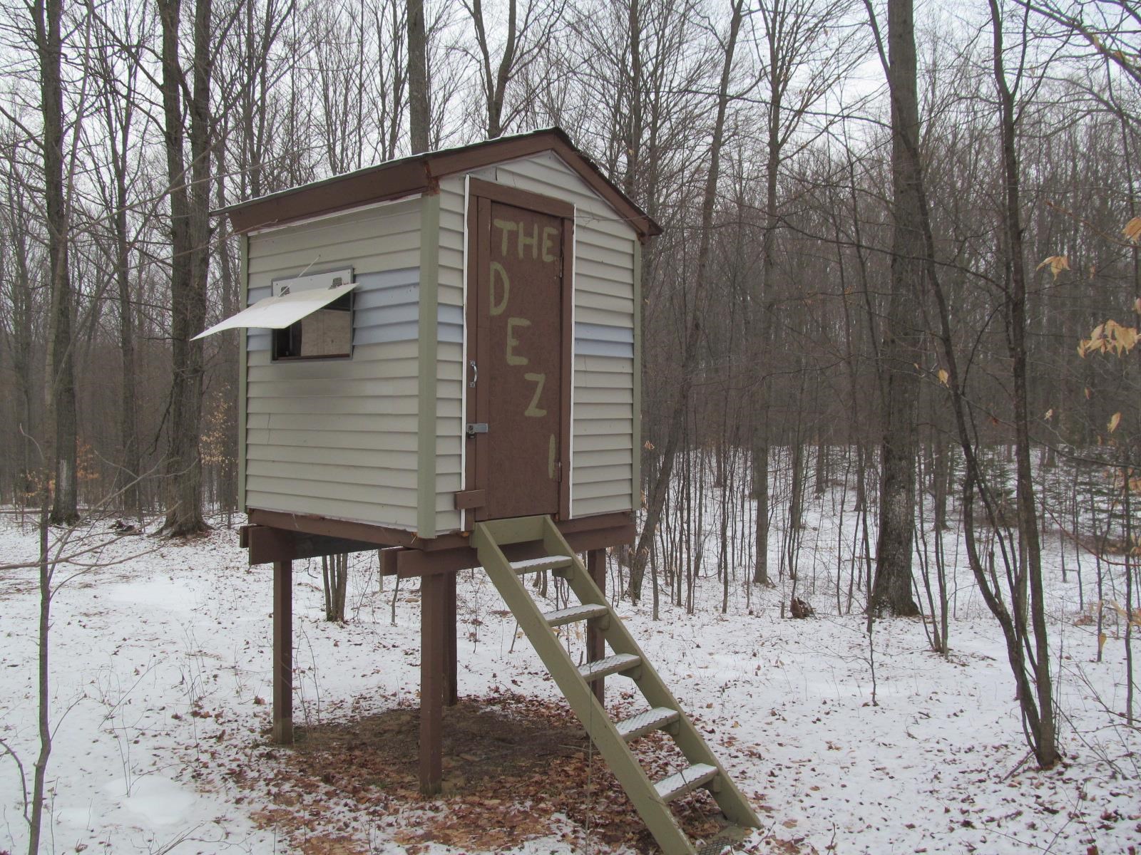 10-acres North 23 Road Mesick, MI 49668 - Photo 7 of 18