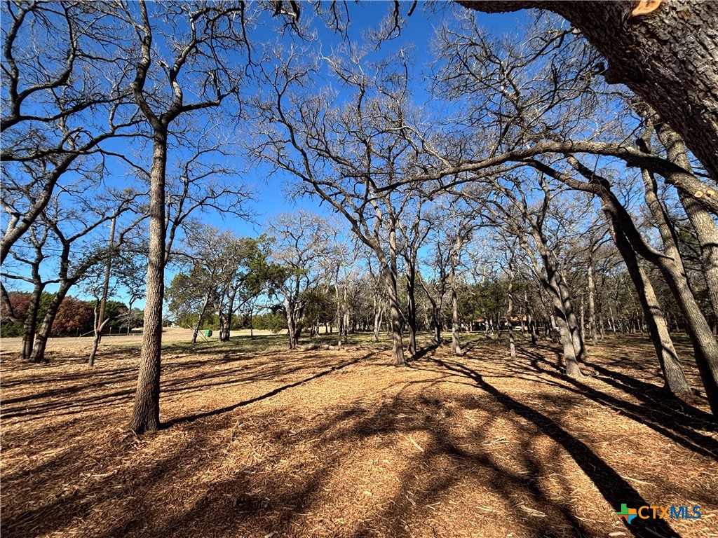 157 Cedar Mountain Road Gatesville, TX 76528 - Photo 3 of 10 a view of outdoor space with seating