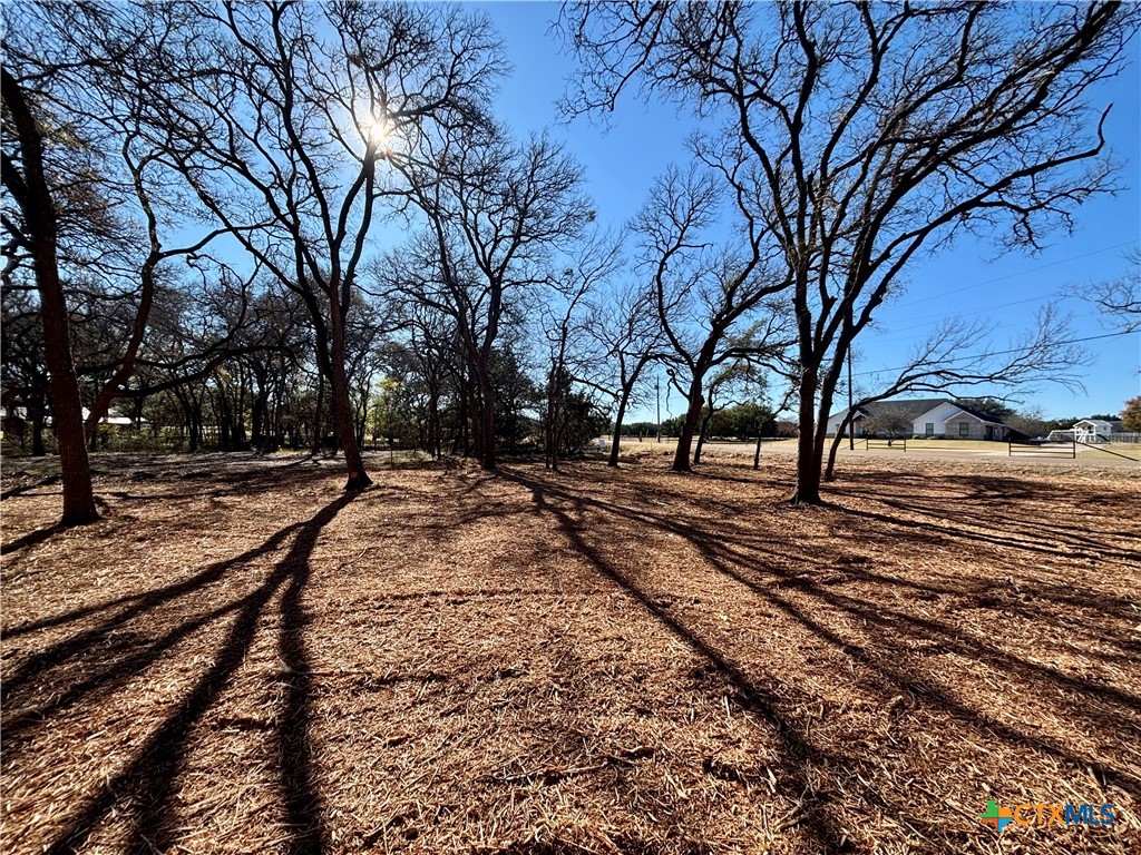 157 Cedar Mountain Road Gatesville, TX 76528 - Photo 4 of 10 a view of outdoor space with yard