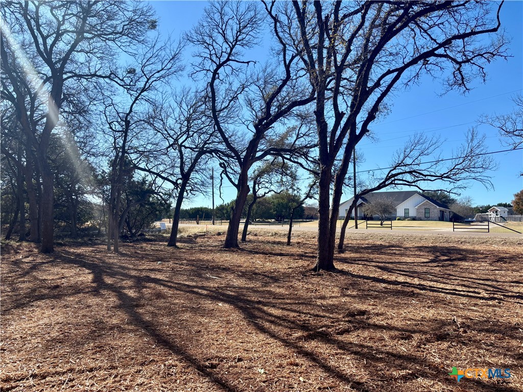 157 Cedar Mountain Road Gatesville, TX 76528 - Photo 5 of 10 a view of a yard with trees