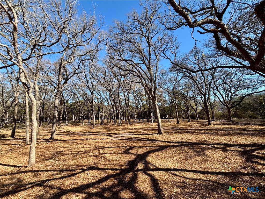157 Cedar Mountain Road Gatesville, TX 76528 - Photo 6 of 10 a view of a yard with snow on the road