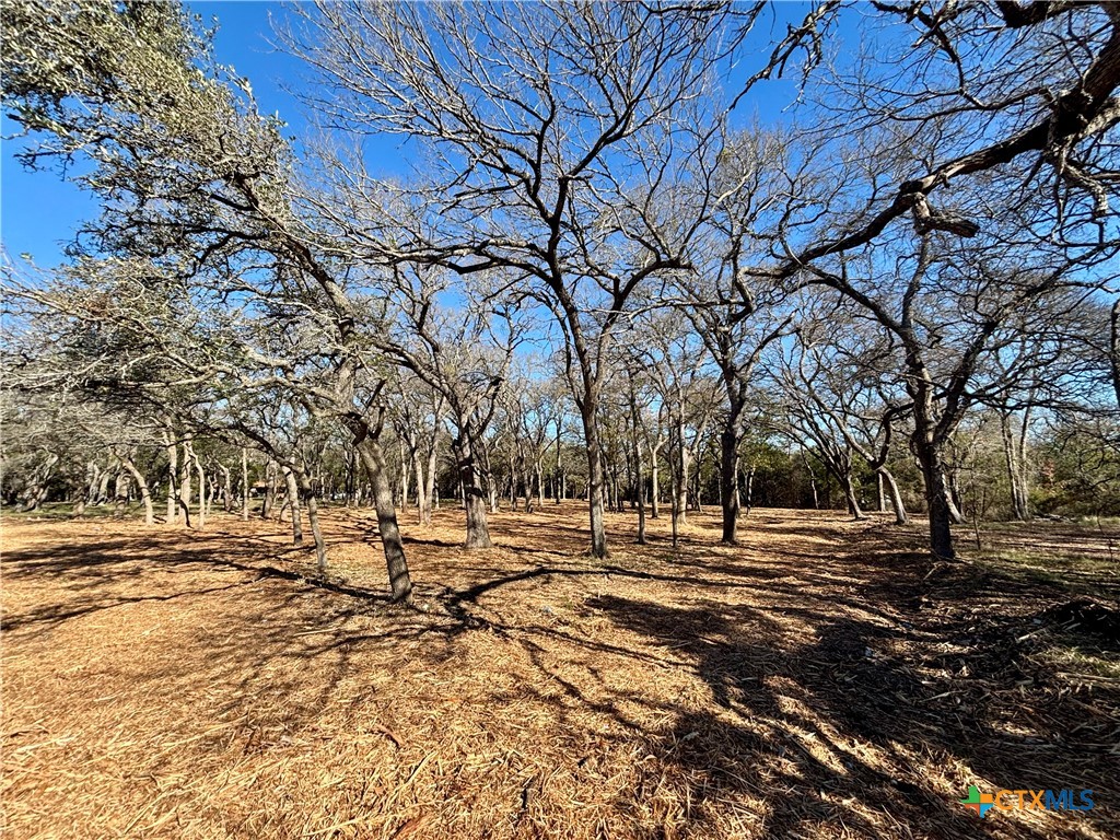 157 Cedar Mountain Road Gatesville, TX 76528 - Photo 8 of 10 a view of road with trees