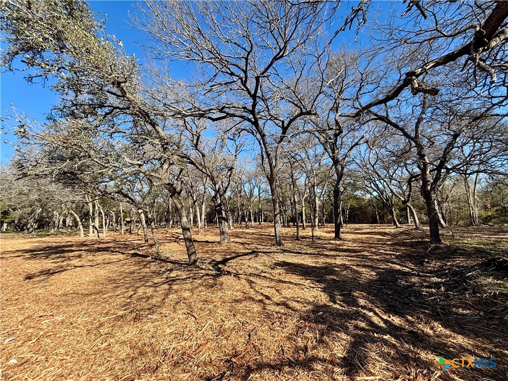 157 Cedar Mountain Road Gatesville, TX 76528 - Photo 9 of 10 a view of road with trees