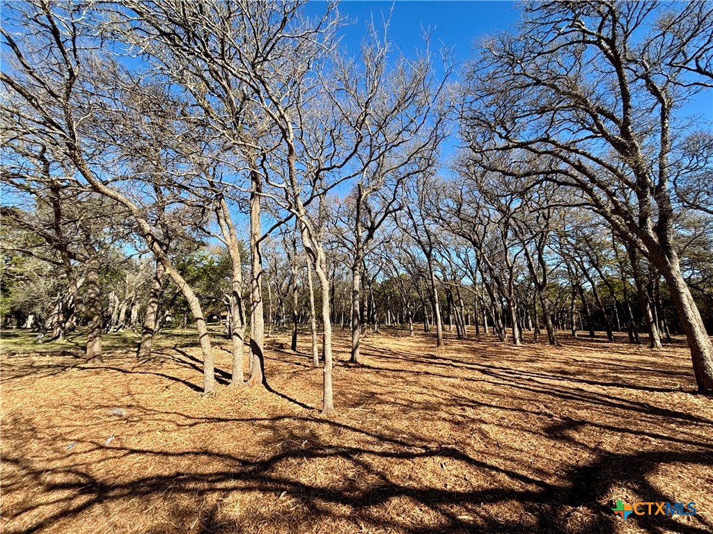 157 Cedar Mountain Road Gatesville, TX 76528 - Photo 10 of 10 a view of empty space with trees