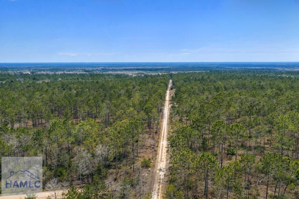 3 Reddish Road Screven, GA 31560 - Photo 49 of 55 Gallery Image 49