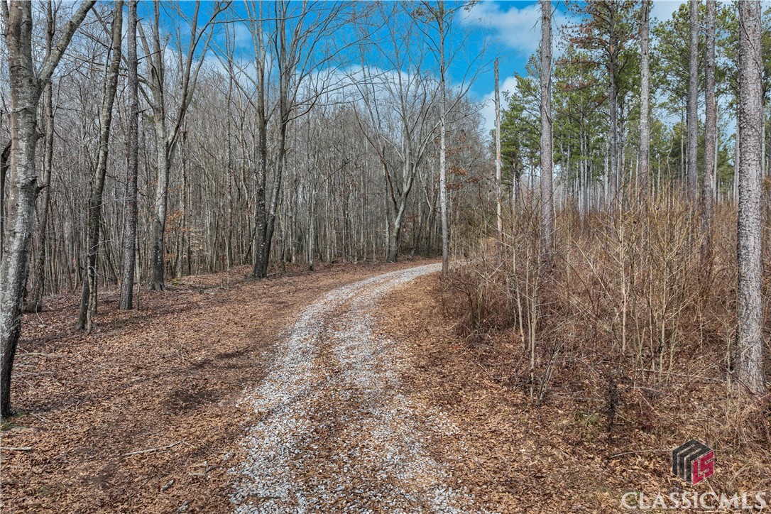 1435 Hargrove Lake Road Winterville, GA 30683 - Photo 3 of 8