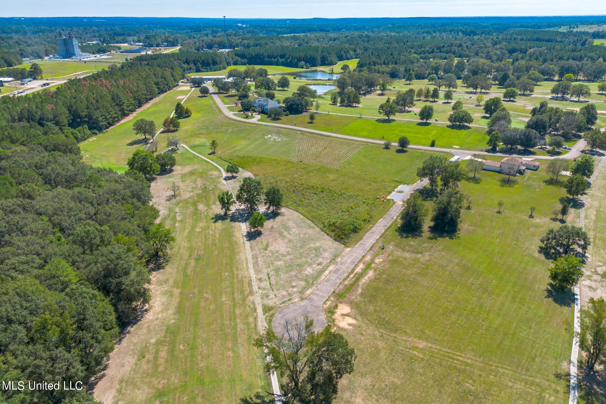 0 Club Drive Collins, MS 39428 - Photo 4 of 8 Club Drive Lots-2