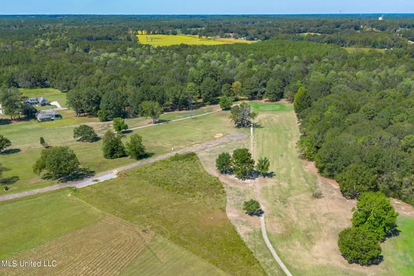 $32,000 | 0 Club Drive, Collins, MS 39428