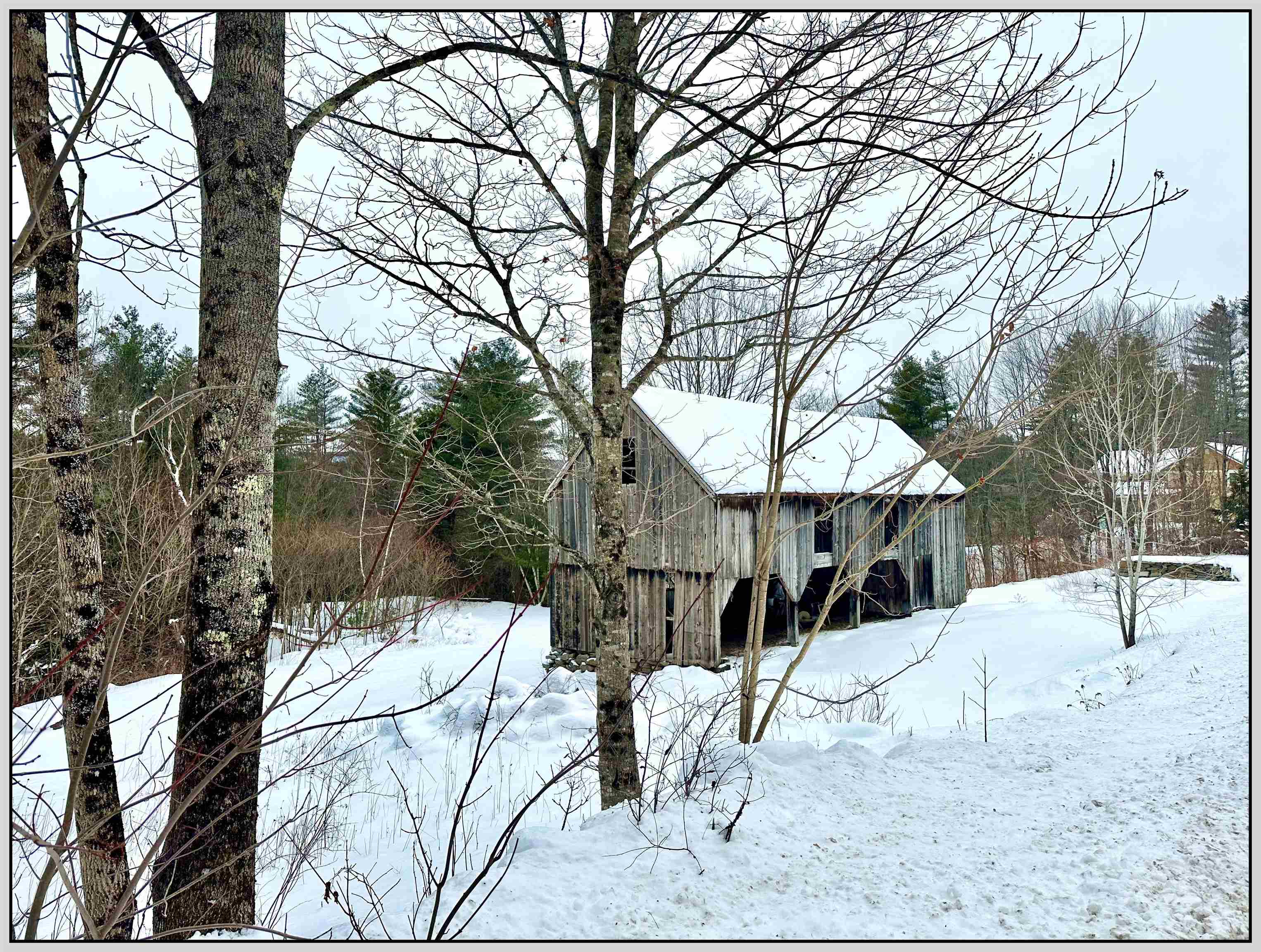 Buffalo Road Rumney, NH 03266 - Photo 2 of 5