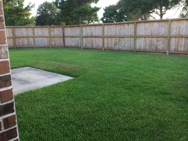 a view of a backyard with wooden fence