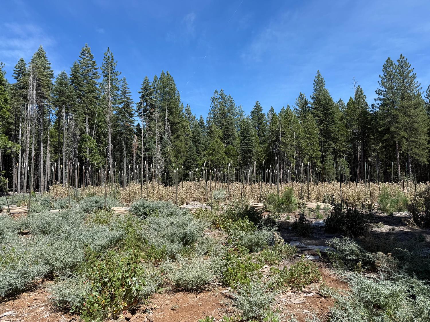 15379 Robbins Ranch Road Nevada City, CA 95959 - Photo 2 of 12 Gallery Image 2