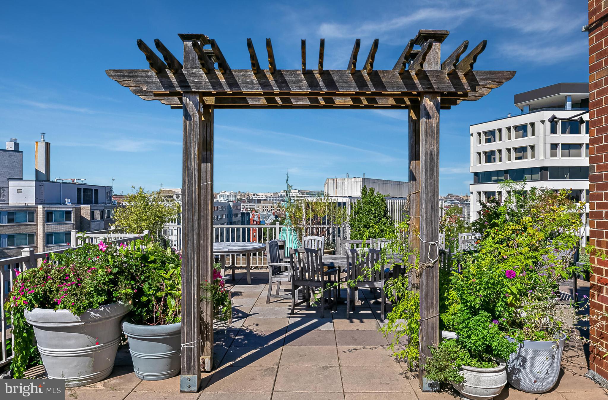 1301 20th Street Northwest, Unit 901 Washington, DC 20036 - Photo 24 of 26 a view of a potted flower in front of a house