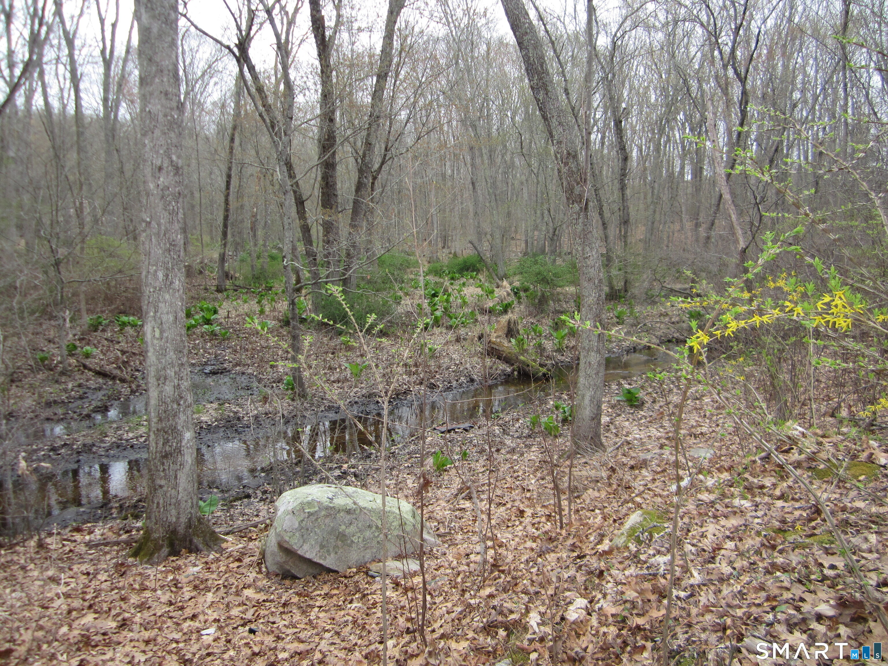 58 Candide Lane Mansfield, CT 06268 - Photo 11 of 15