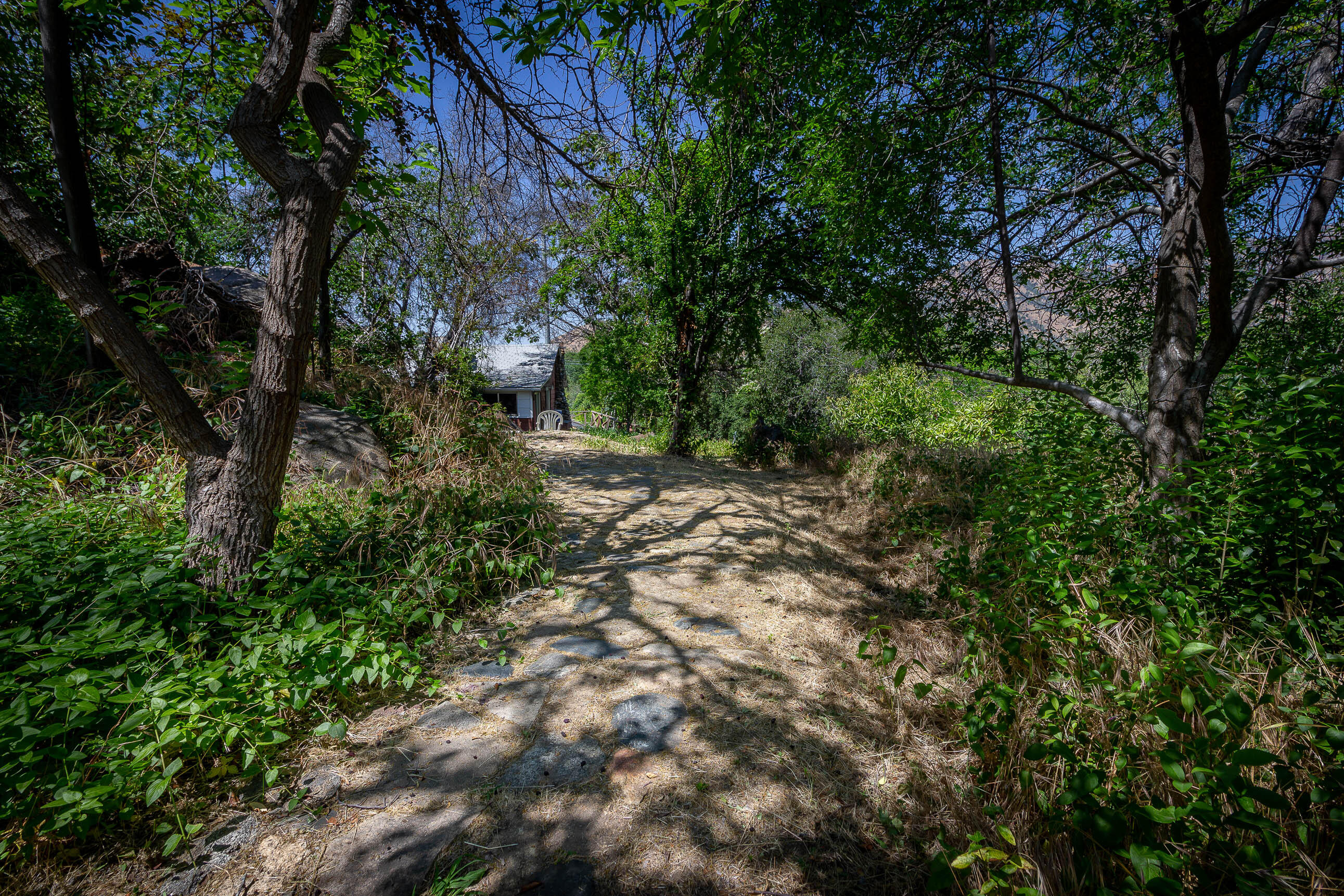 41518 Sierra Drive Three Rivers, CA 93271 - Photo 8 of 10 IMG_8826-HDR-17