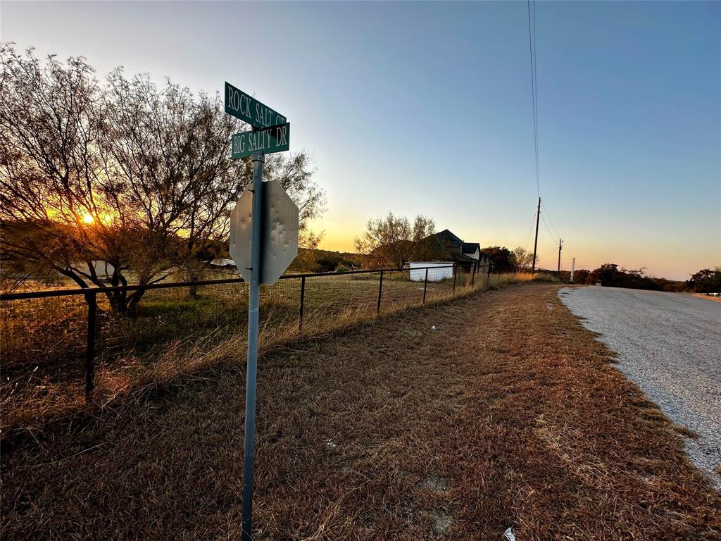 107 Rock Salt Court Springtown, TX 76082 - Photo 19 of 22 a view of a backyard