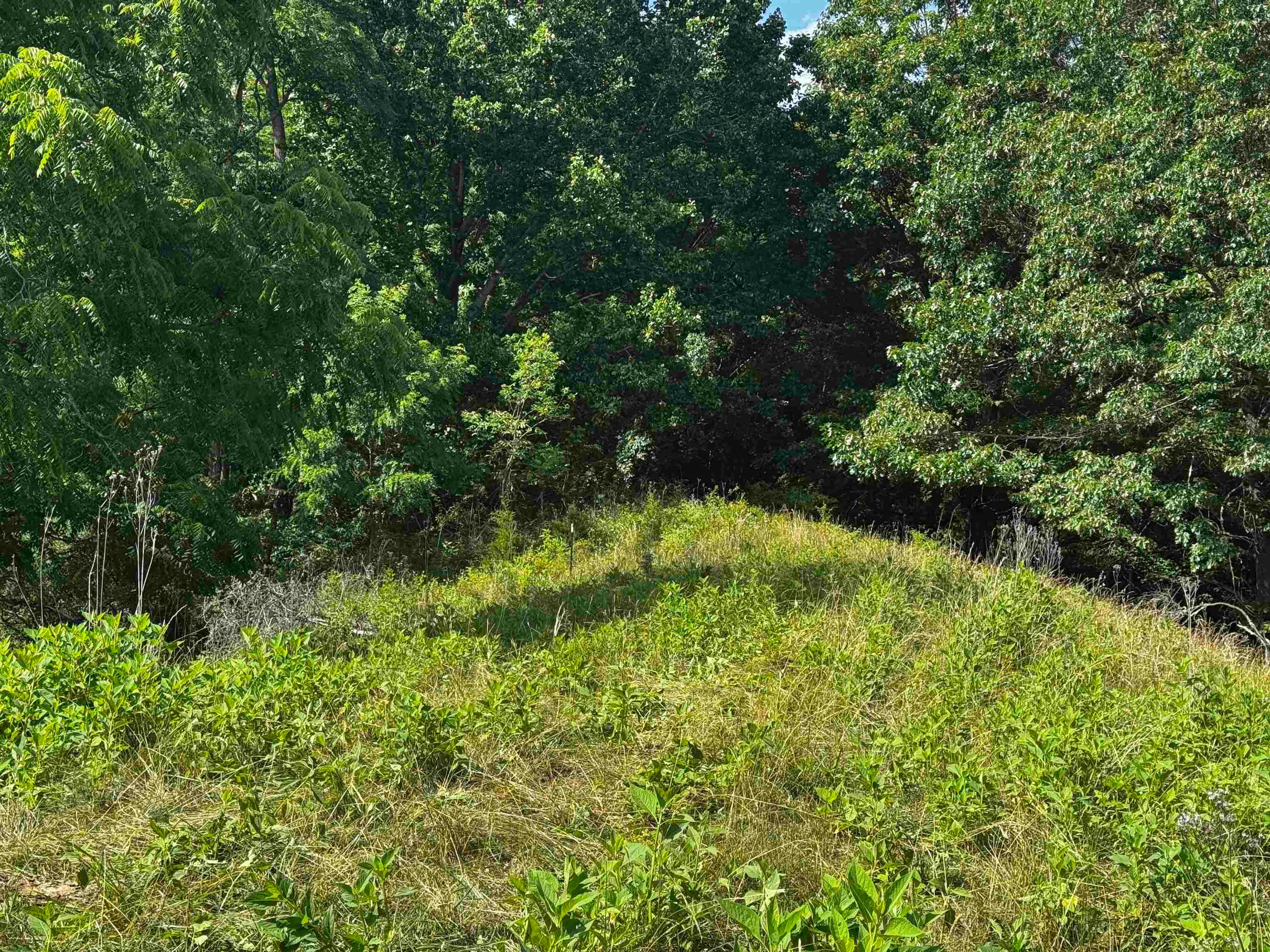 Tbd Laurel Springs Road Newport, VA 24128 - Photo 8 of 8 Gallery Image 8