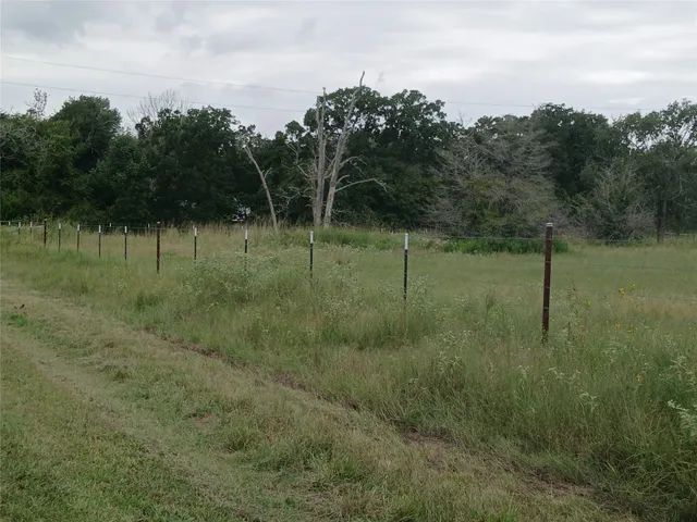 a view of outdoor space with green field and trees
