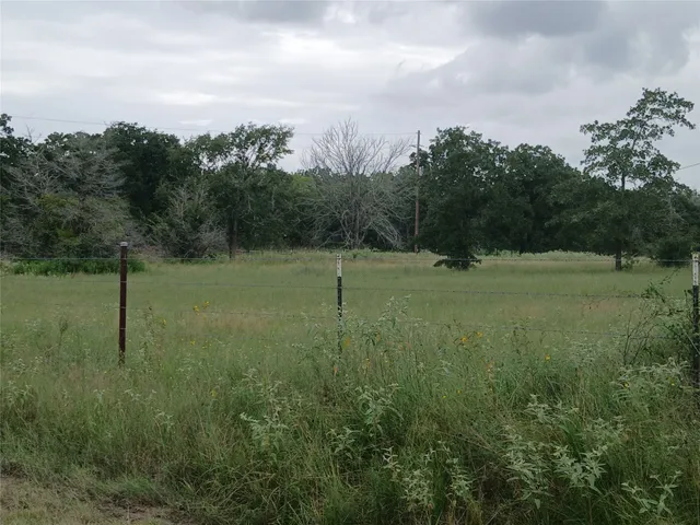 a view of a field with a tree in it