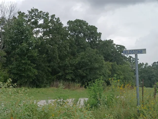 a view of a lush green field