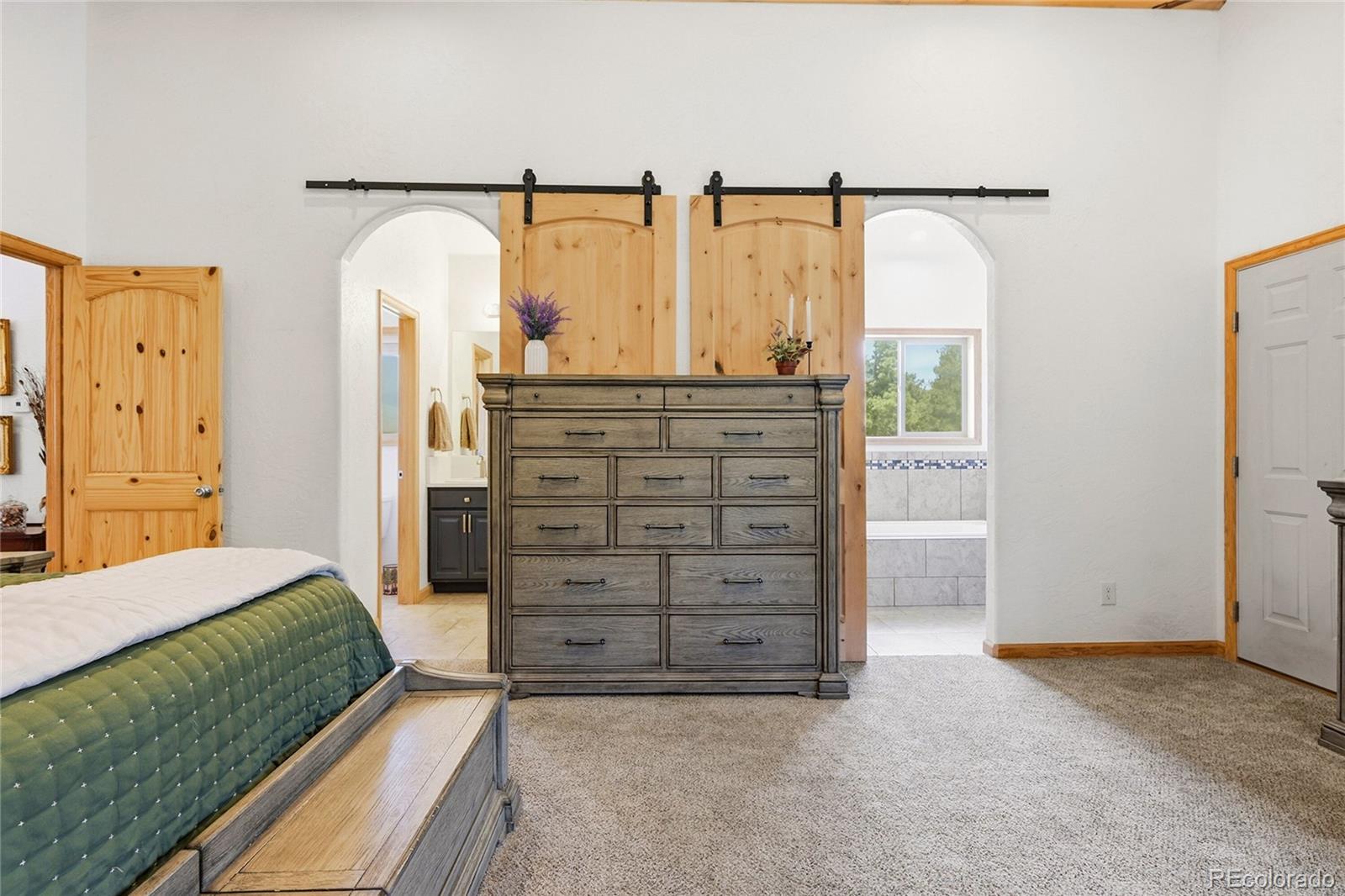 705 Gold Flake Terrace Bailey, CO 80421 - Photo 22 of 48