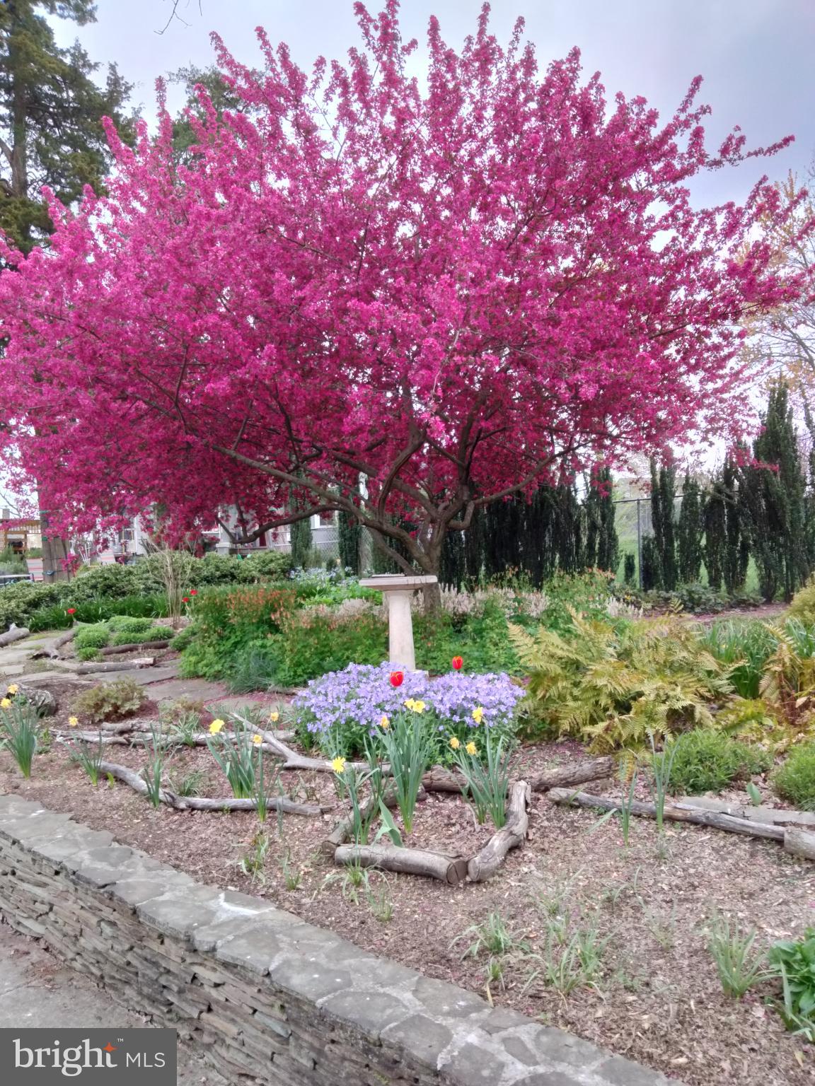 2400 Valley Way Cheverly, MD 20785 - Photo 37 of 41