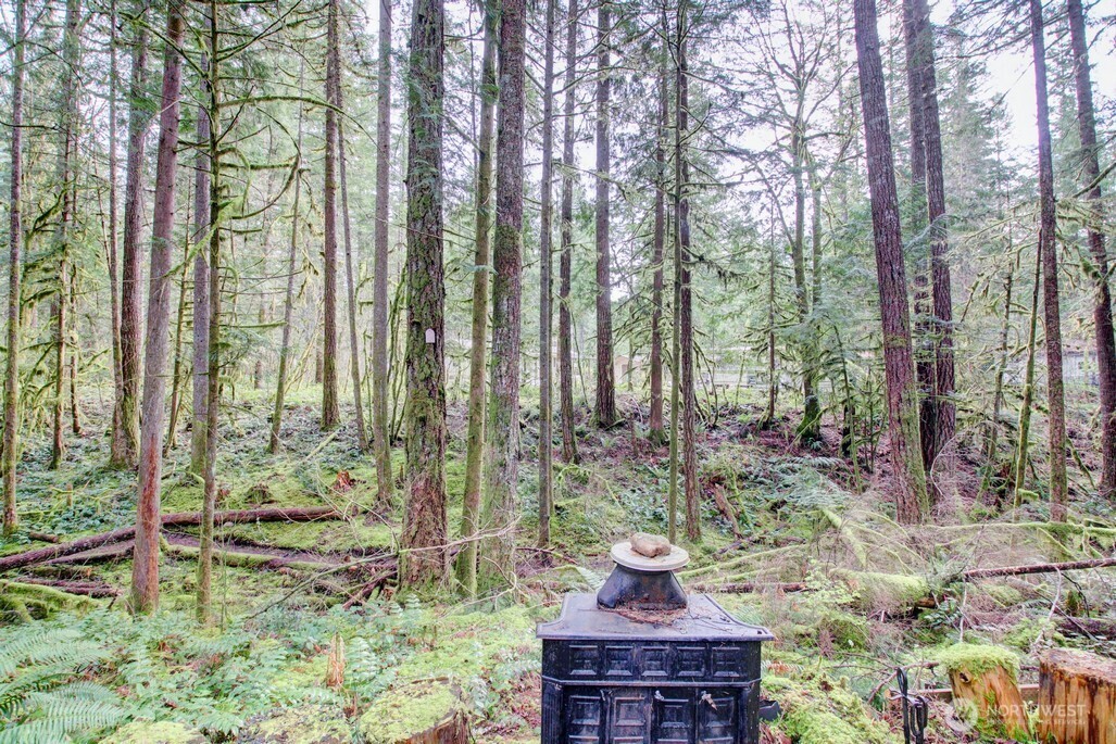 22 Wilderness Way Maple Falls, WA 98266 - Photo 26 of 40