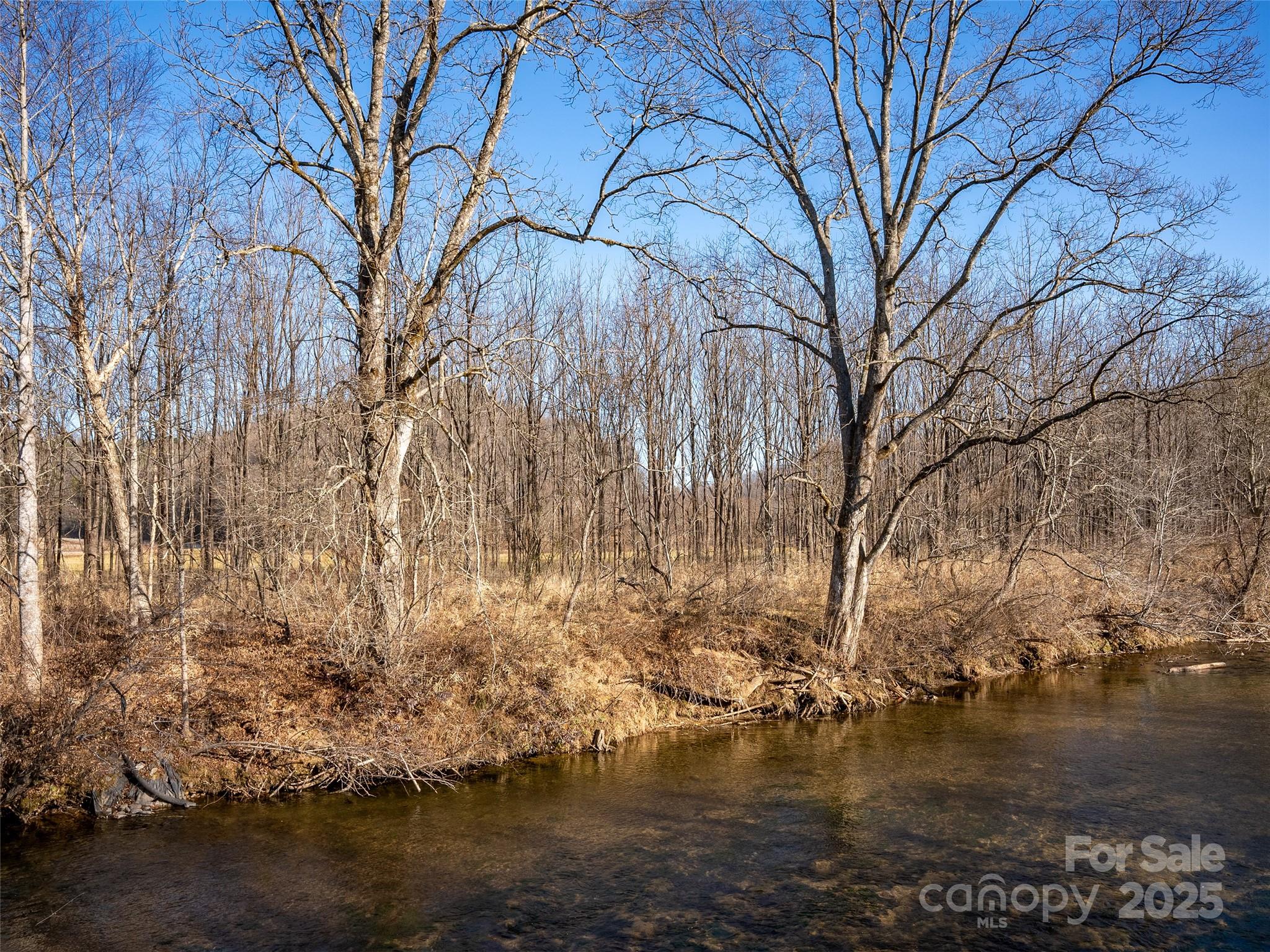 0 Lyons Mountain Road Brevard, NC 28712 - Photo 11 of 15 a view of lake with trees