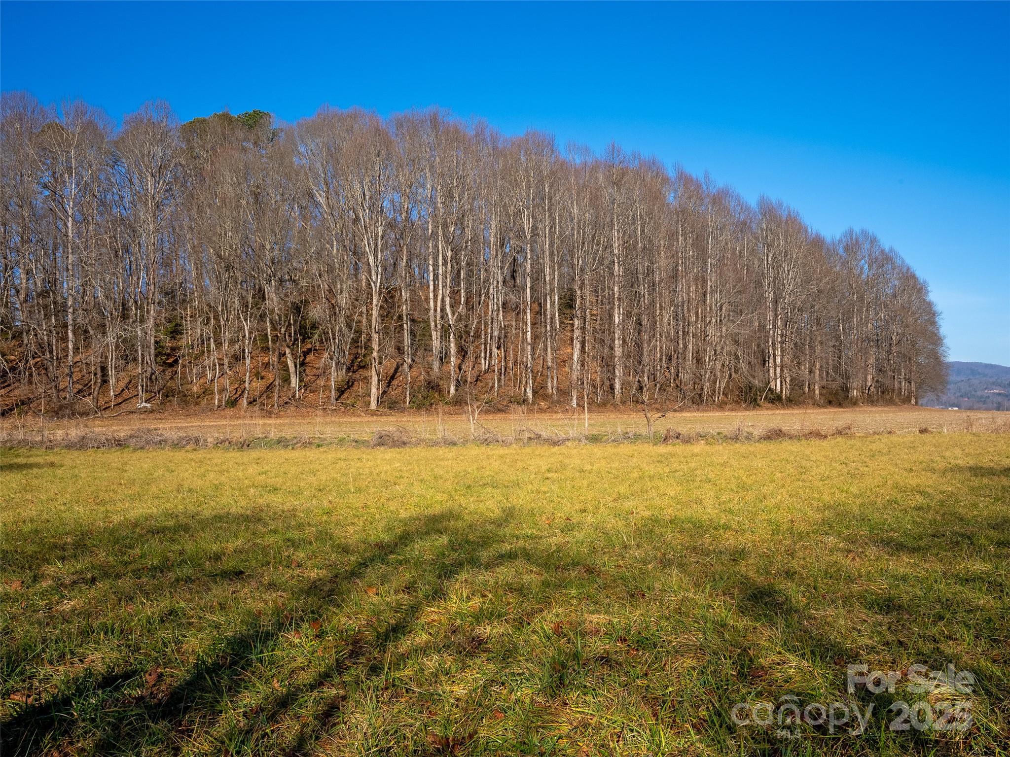 0 Lyons Mountain Road Brevard, NC 28712 - Photo 12 of 15 a view of outdoor space with mountain view