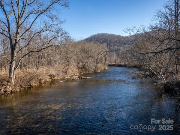 a view of lake with trees