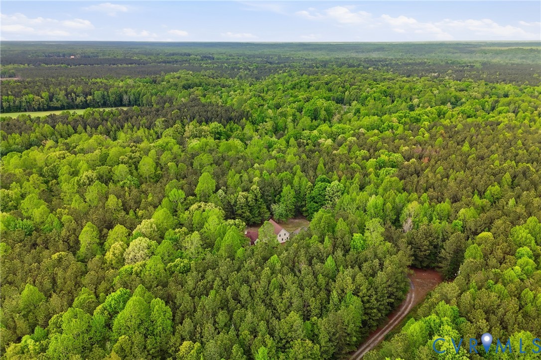 13265 Coulbourn Road Saluda, VA 23149 - Photo 60 of 62 Sprawling forest acreage with a private residence