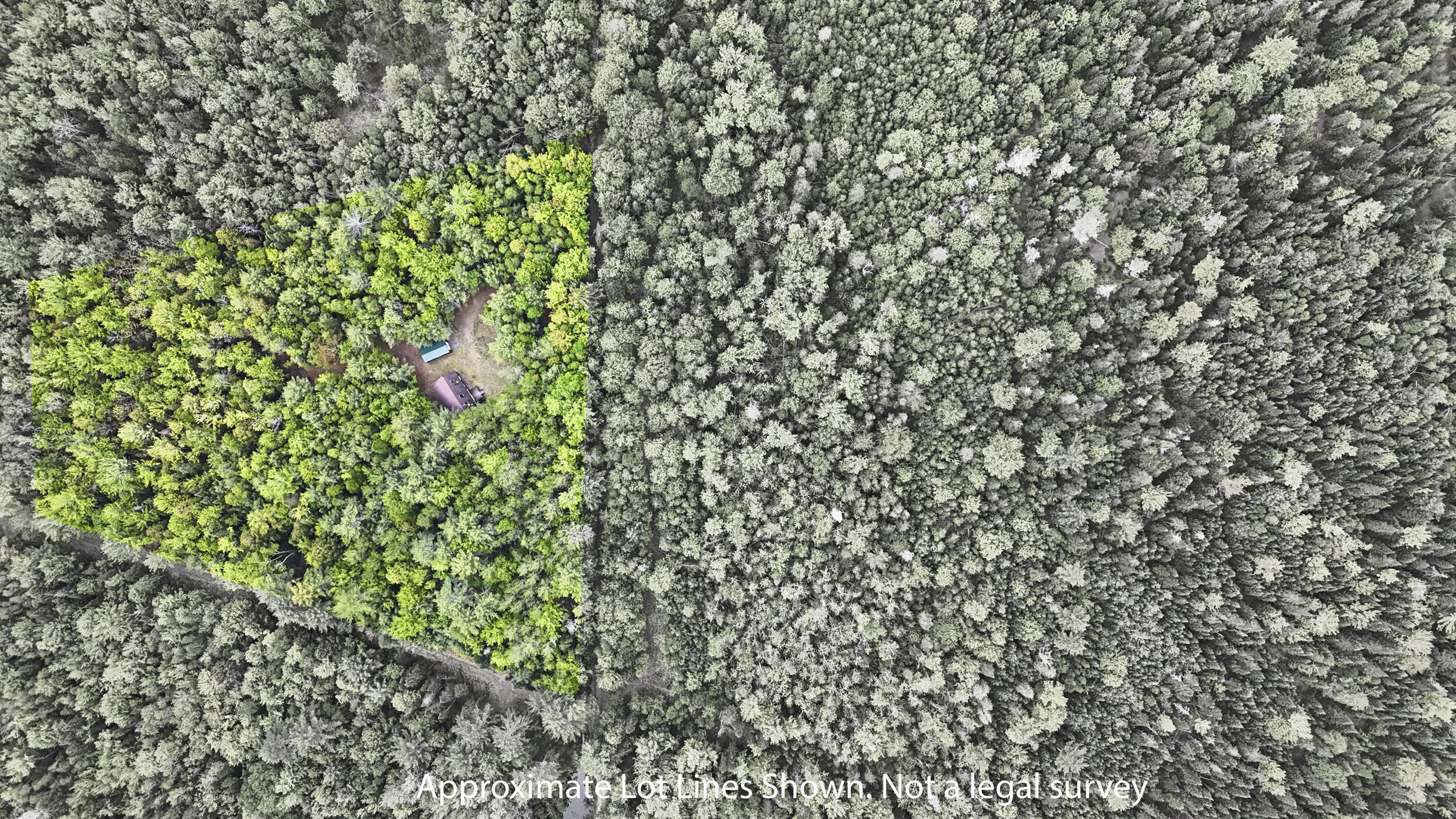 363 South Ridge Road Palmyra, ME 04965 - Photo 35 of 35 363_s_ridge_rd_main-lot_lines-2