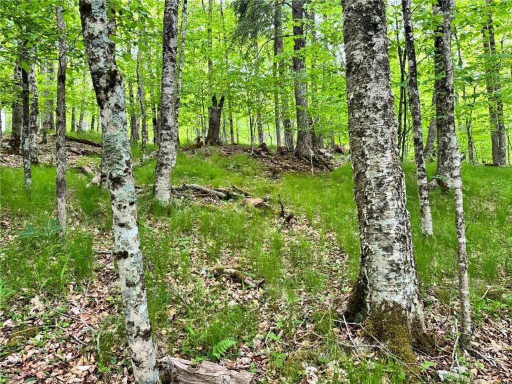 146 Hornbeam Road Beech Mountain, NC 28604 - Photo 9 of 14