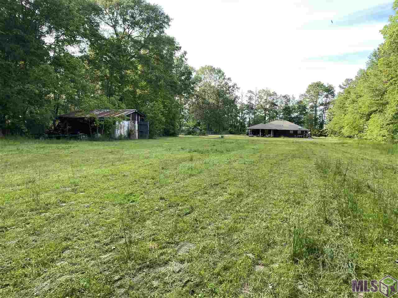 16680 Spring Ranch Road Livingston, LA 70754 - Photo 12 of 12 Back yard view