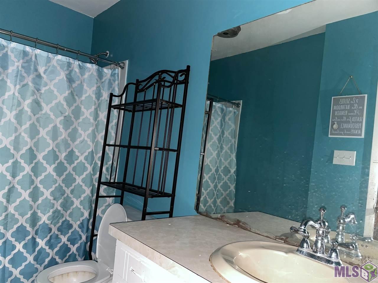 16680 Spring Ranch Road Livingston, LA 70754 - Photo 8 of 12 Hall Bath