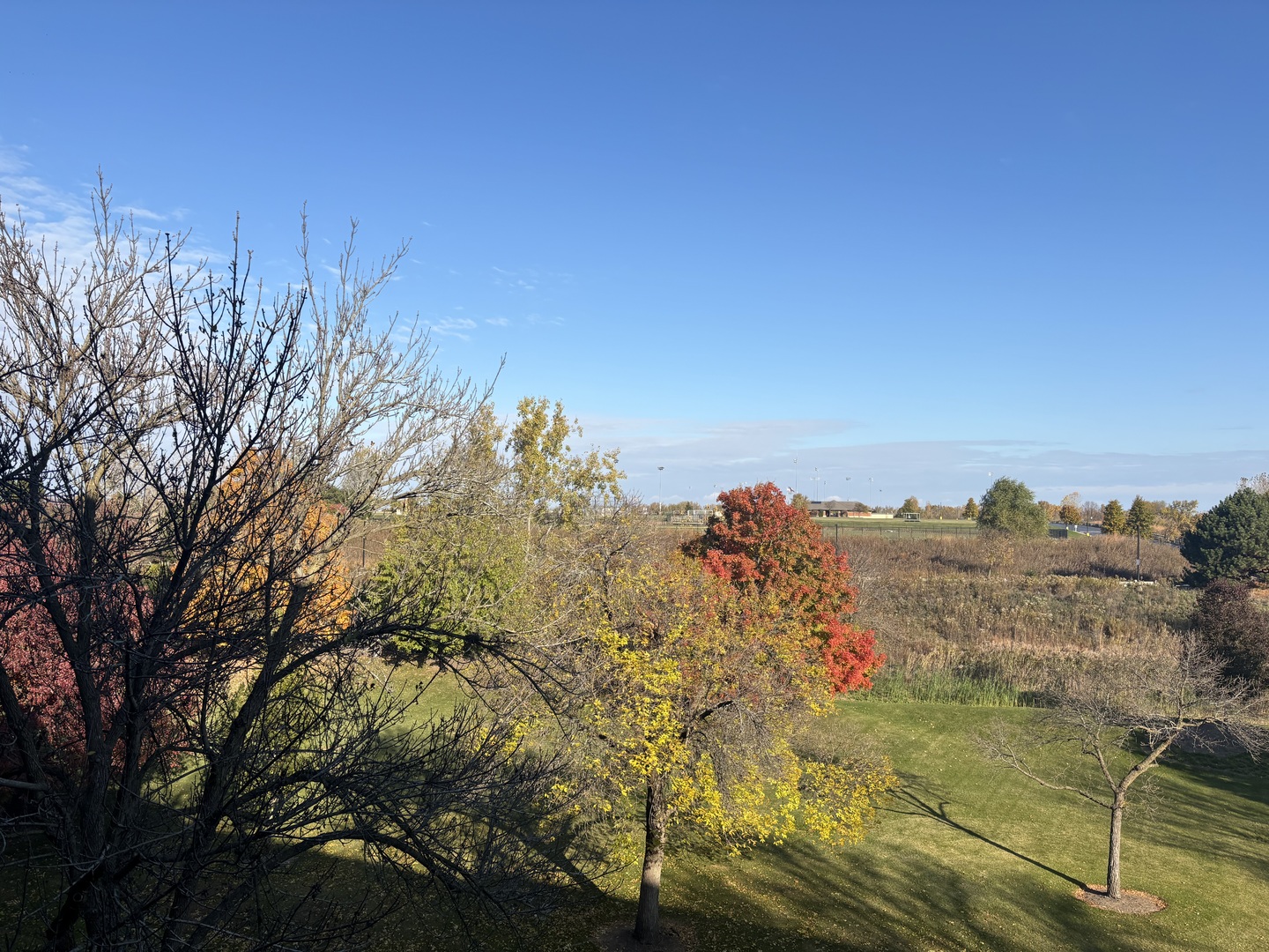 2000 Chestnut Avenue, Unit 407 Glenview, IL 60025 - Photo 16 of 25 a view of a houses