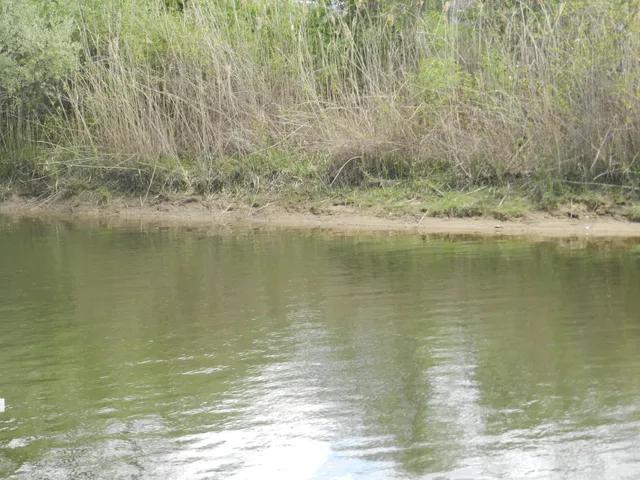 $49,900 | 519 Swan River Drive, Benton Harbor, MI 49022