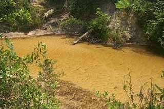 Off Josey Road Laurel Hill, FL 32567 - Photo 1 of 1 Primary Photo