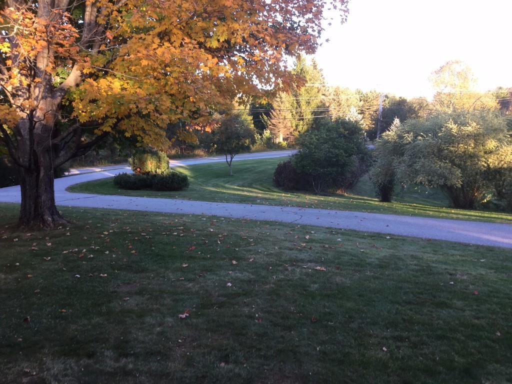 4 Turkey Lane Cumberland Center, ME 04021 - Photo 27 of 29 Sweeping Driveway with Mature...